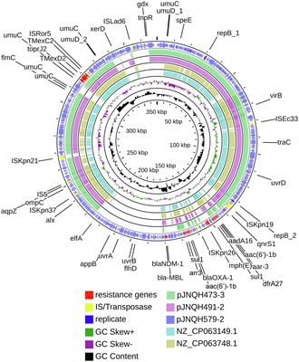 Characterization of IncHI1B Plasmids Encoding Efflux Pump TmexCD2-ToprJ2 in Carbapenem-Resistant Klebsiella variicola, Klebsiella quasipneumoniae, and Klebsiella michiganensis Strains